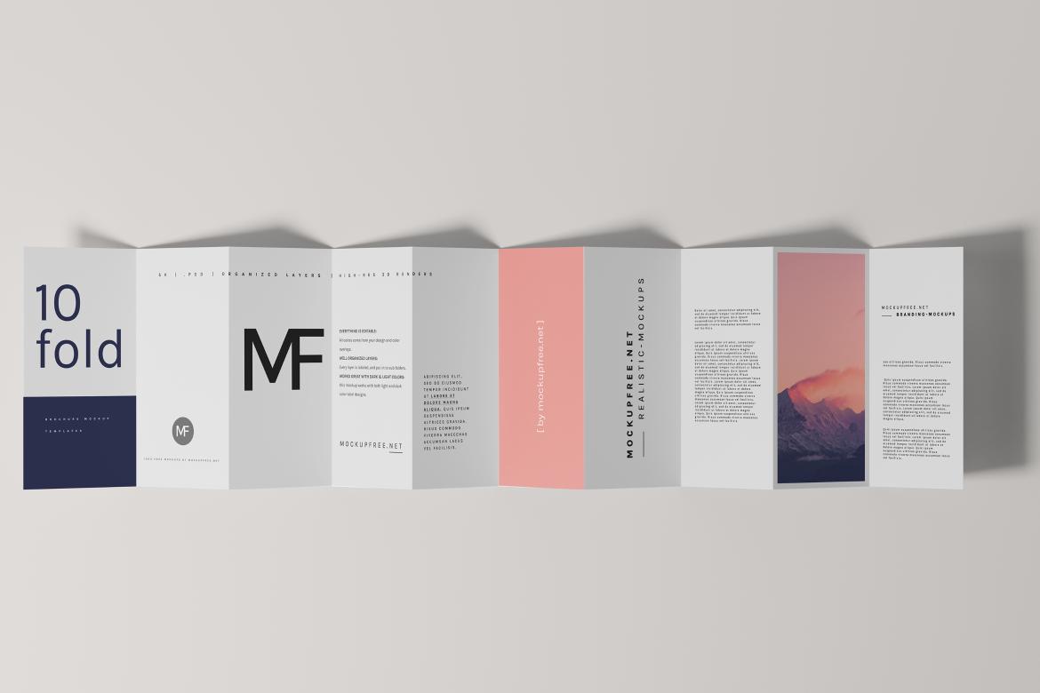 DL Ten-Fold Brochure or Flyer Mockups