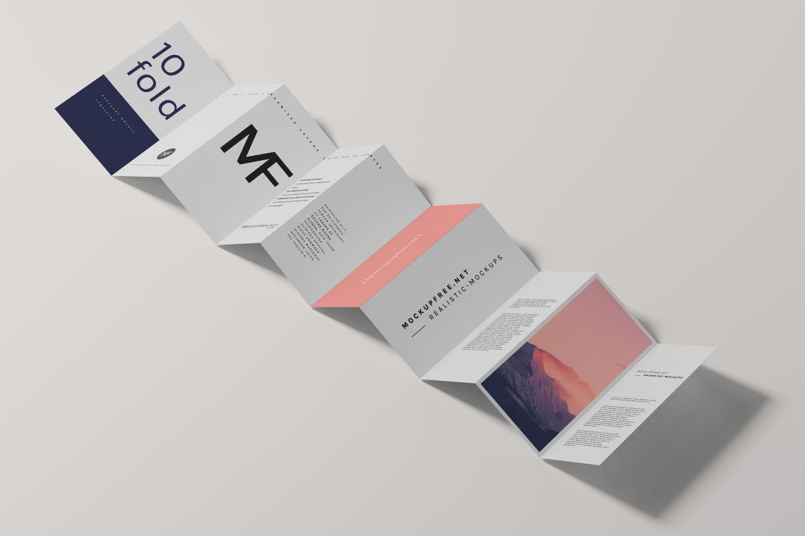 DL Ten-Fold Brochure or Flyer Mockups
