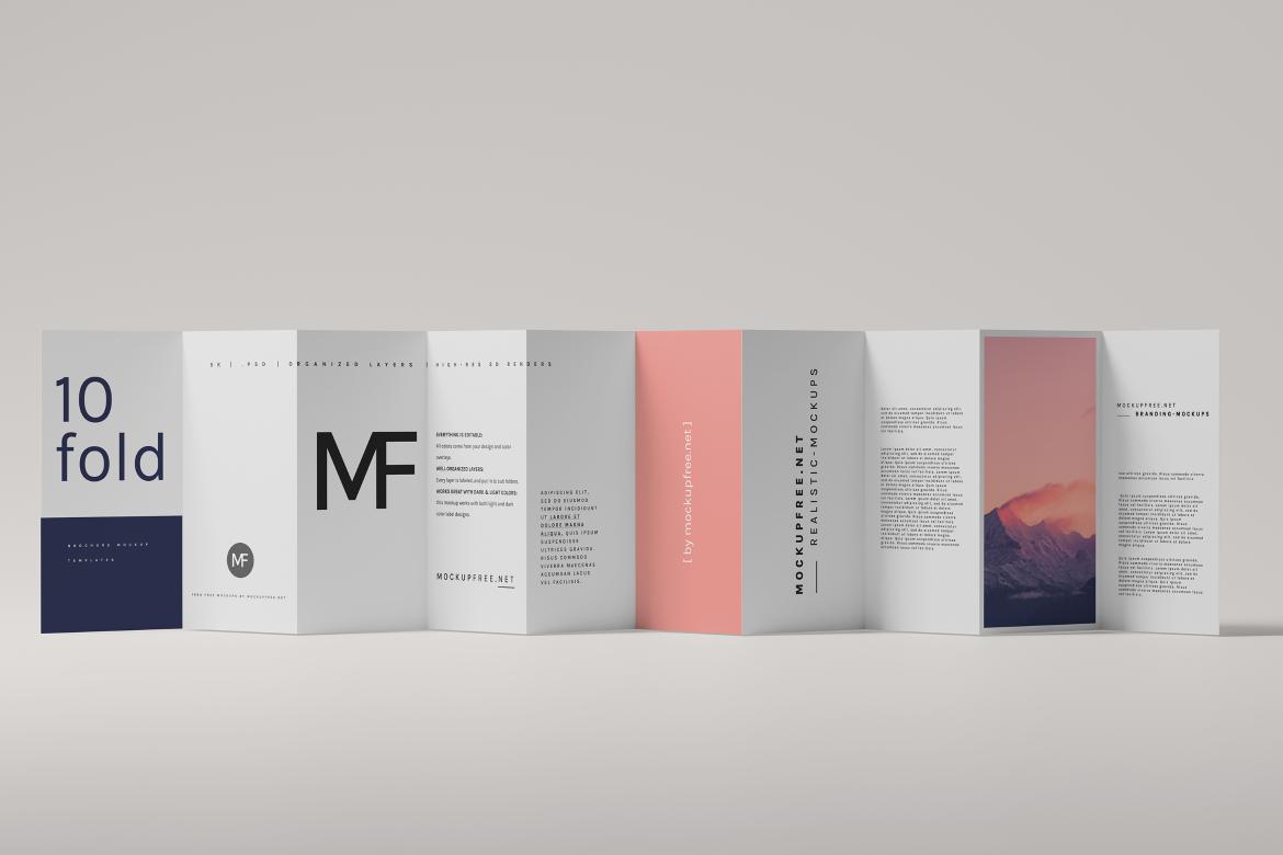 DL Ten-Fold Brochure or Flyer Mockups