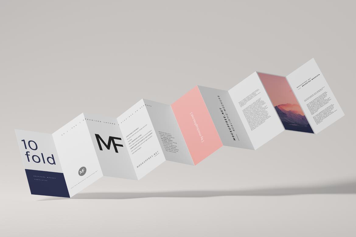 DL Ten-Fold Brochure or Flyer Mockups