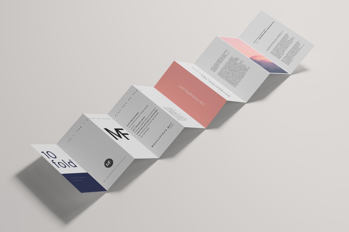 DL Ten-Fold Brochure or Flyer Mockups
