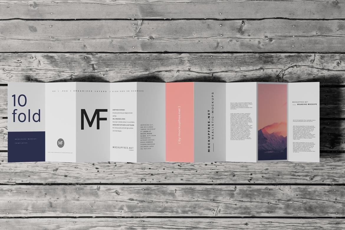 DL Ten-Fold Brochure or Flyer Mockups