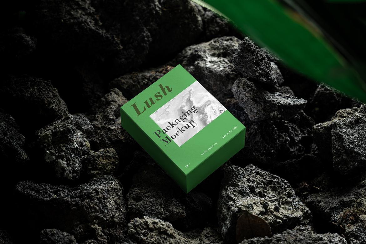 Lush Branding Mockups Kit