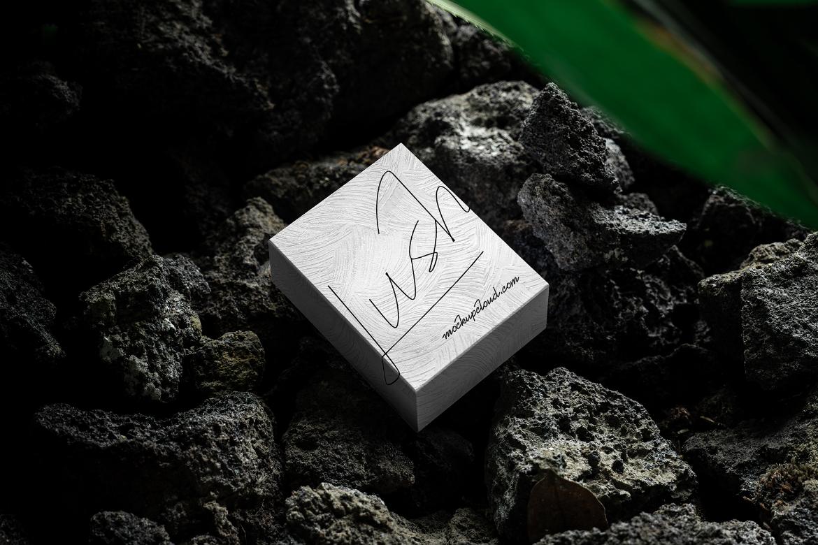 Box Packaging Mockup Scene / Lush Series 01