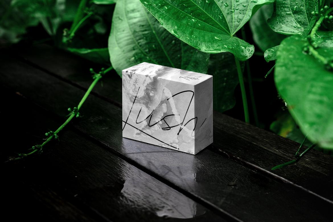Lush Branding Mockups Kit