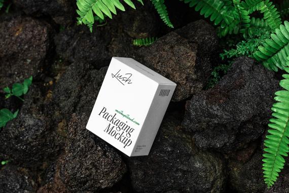 Lush Branding Mockups Kit