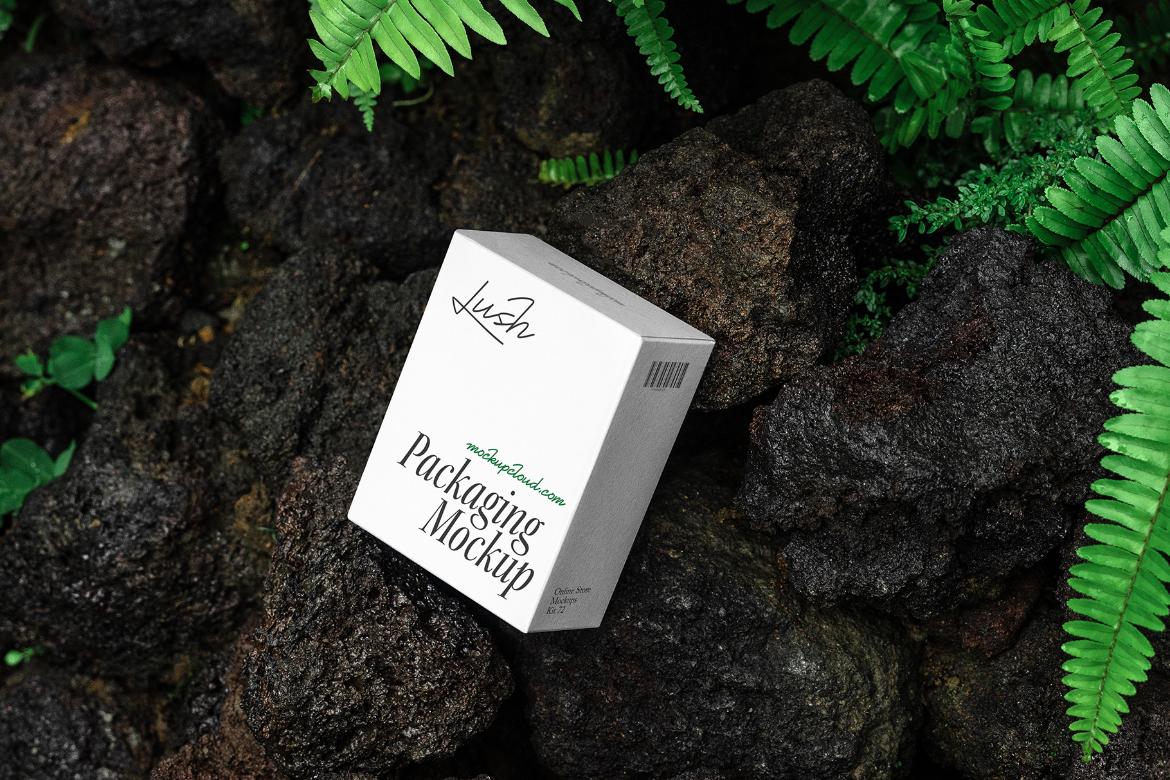 Box Packaging Mockup Scene / Lush Series 04