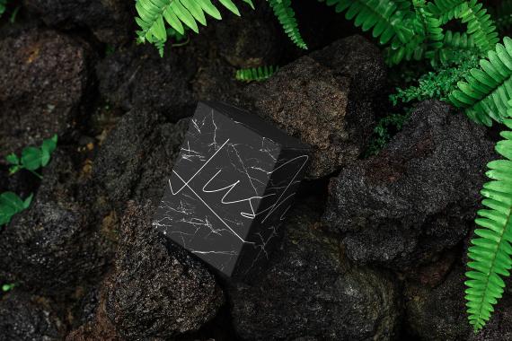 Lush Branding Mockups Kit