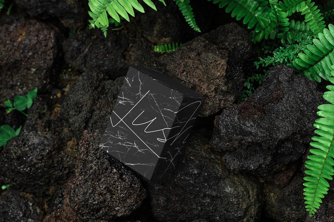 Box Packaging Mockup Scene / Lush Series 04
