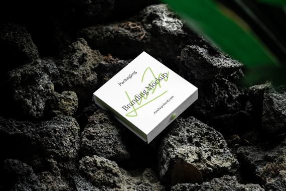 Lush Branding Mockups Kit