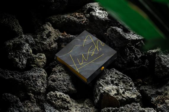 Lush Branding Mockups Kit