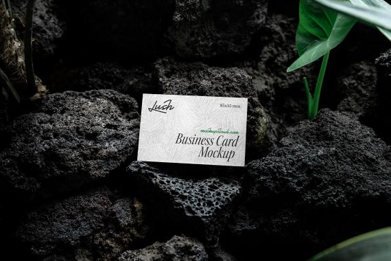 Lush Branding Mockups Kit