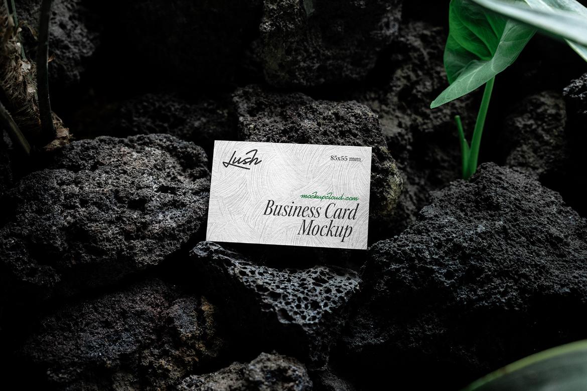 Business Card Mockup Scene / Lush Series 01