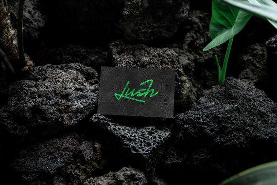 Lush Branding Mockups Kit