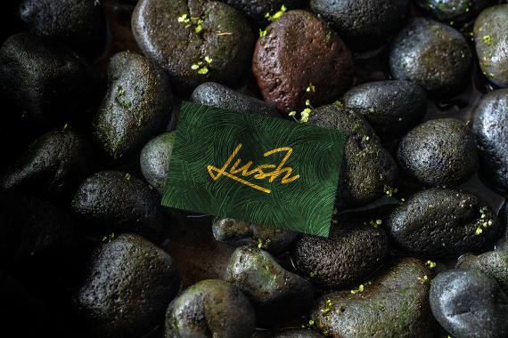 Lush Branding Mockups Kit