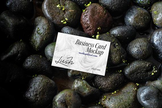 Lush Branding Mockups Kit
