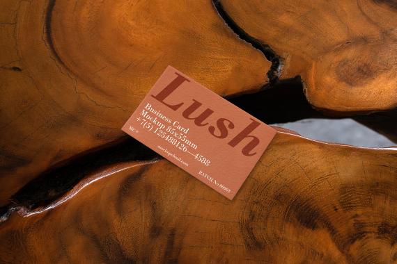 Lush Branding Mockups Kit