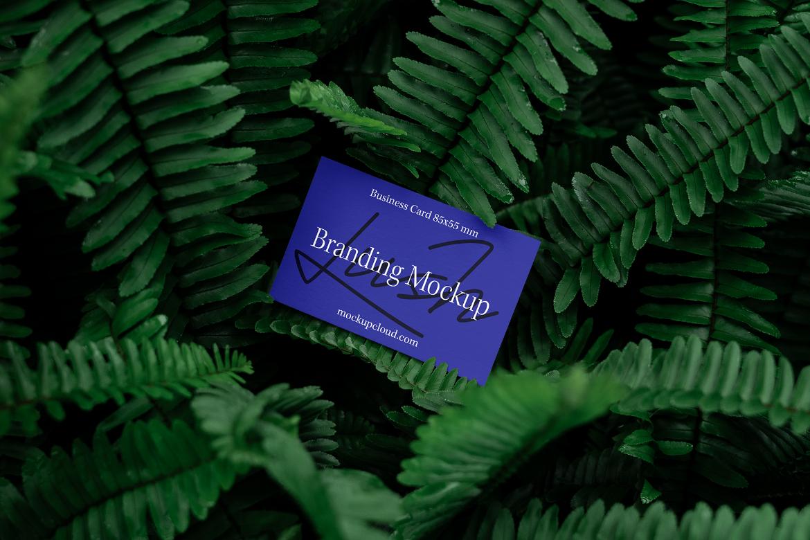 Lush Branding Mockups Kit