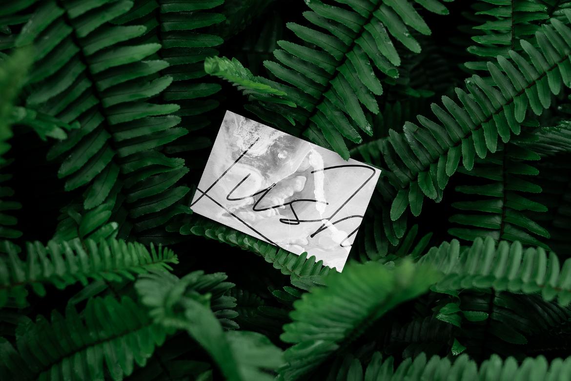 Lush Branding Mockups Kit