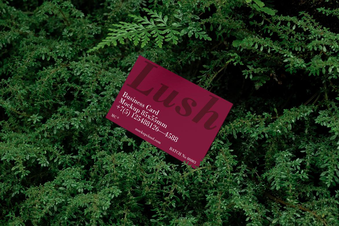 Business Card Mockup Scene / Lush Series 05