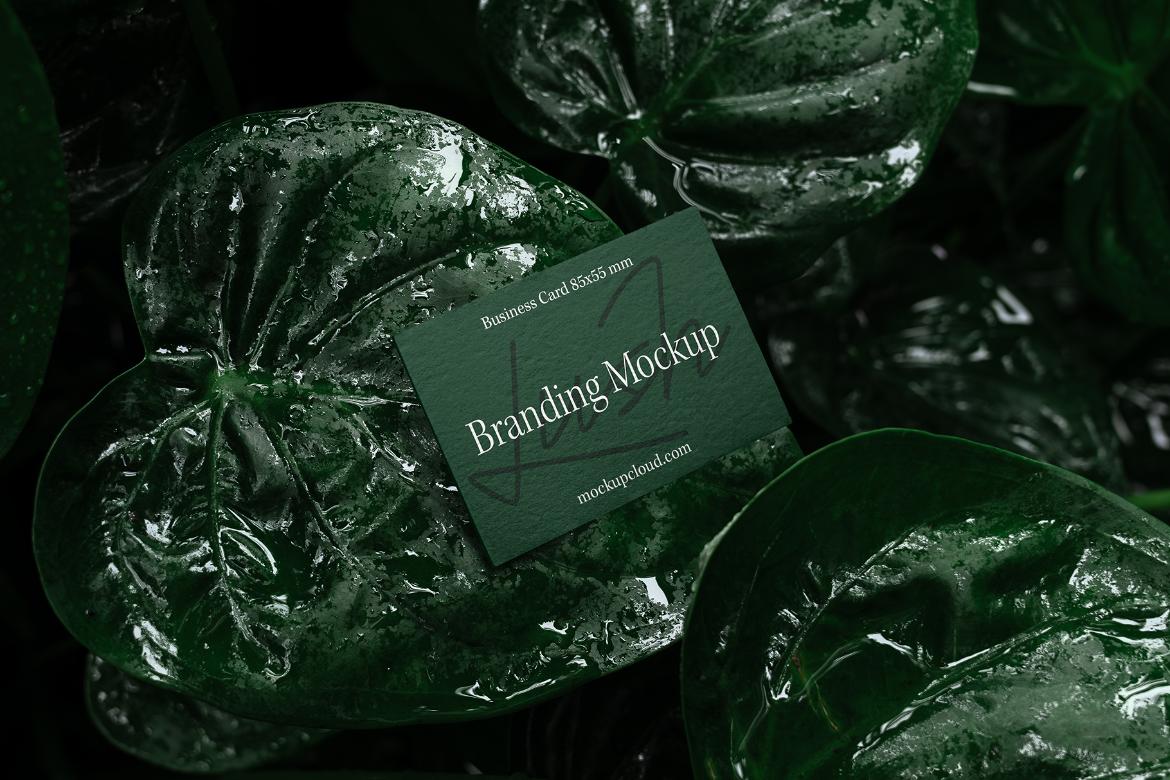 Lush Branding Mockups Kit