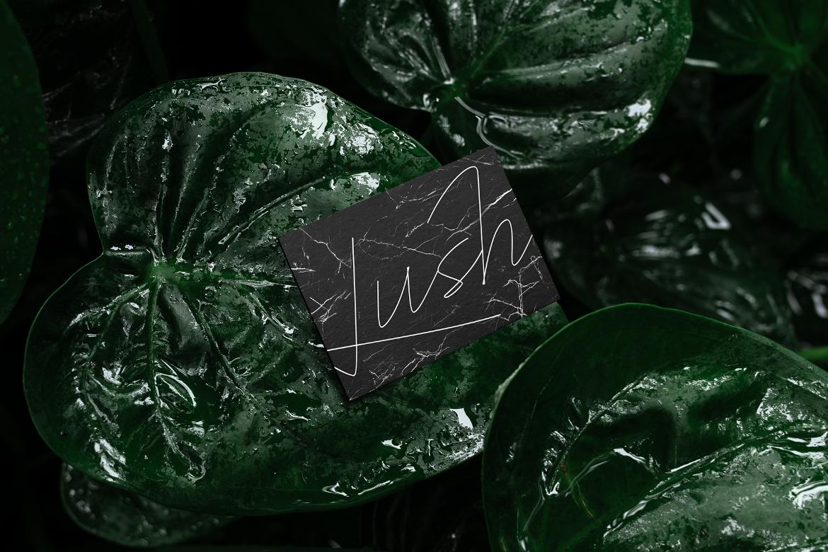 Lush Branding Mockups Kit