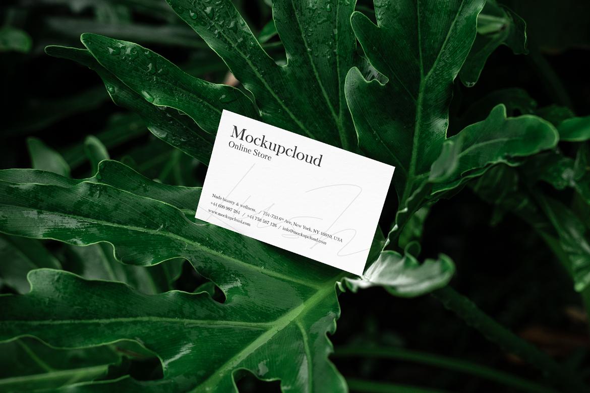 Business Card Mockup Scene / Lush Series 07