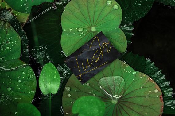 Lush Branding Mockups Kit