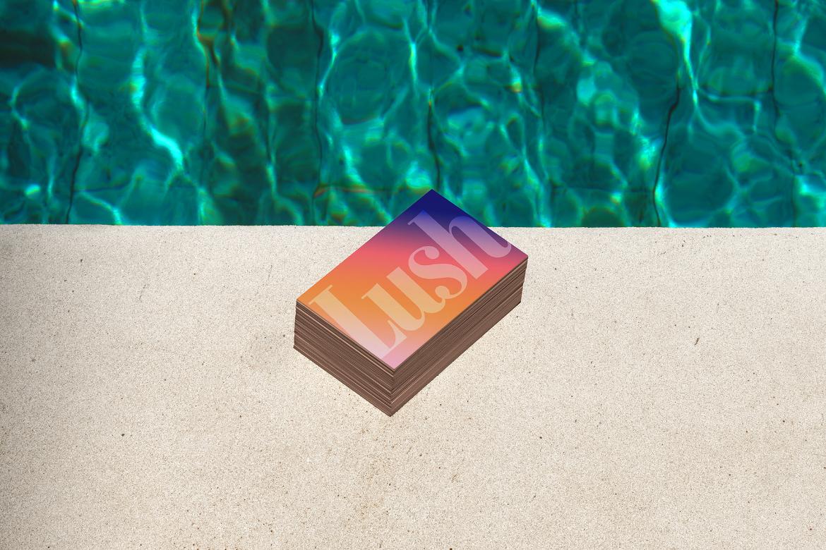 Business Cards Mockup Scene / Lush Series 09