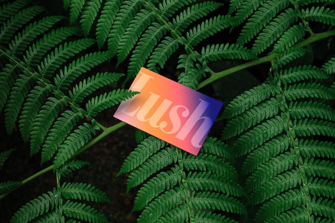Lush Branding Mockups Kit
