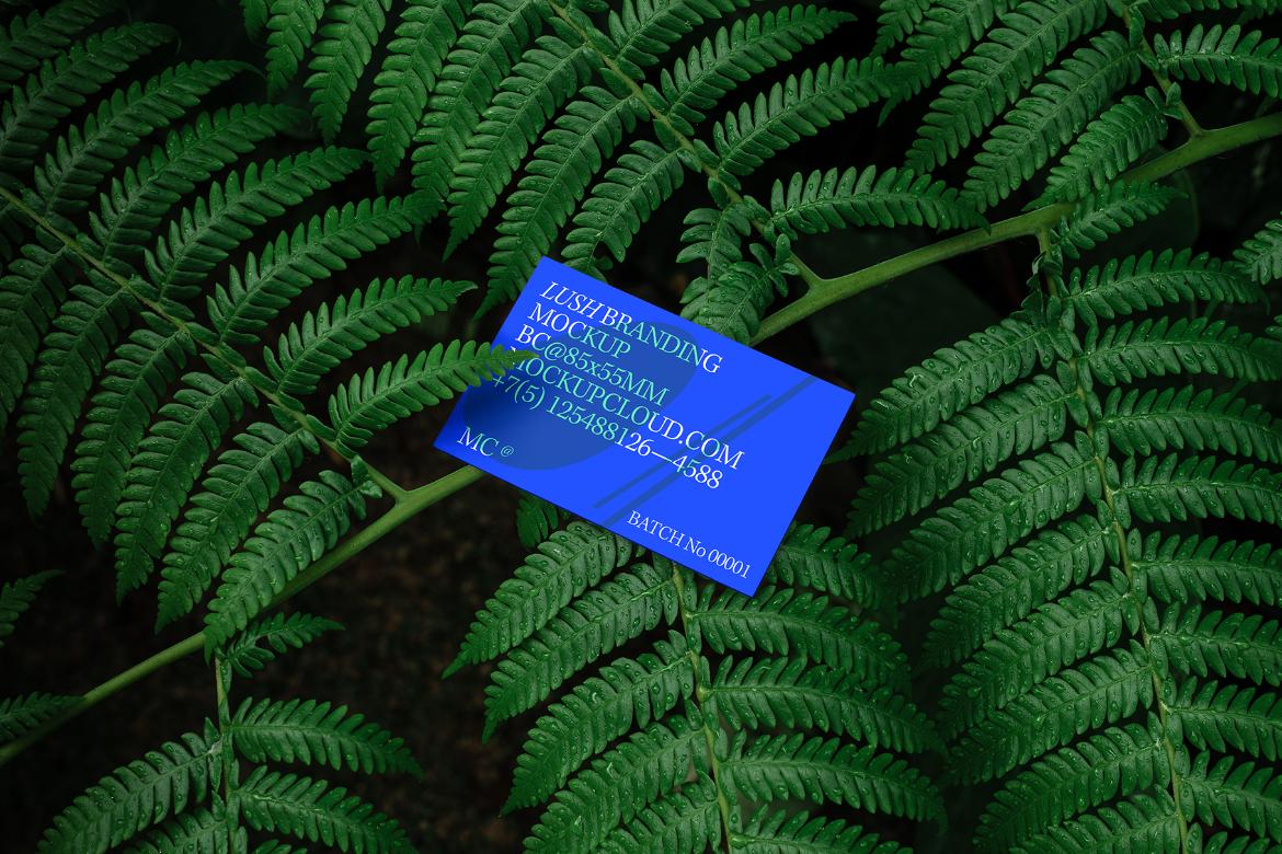 Business Cards Mockup Scene / Lush Series 10