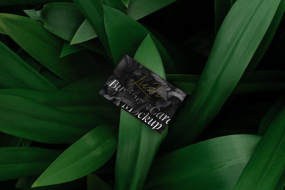 Lush Branding Mockups Kit