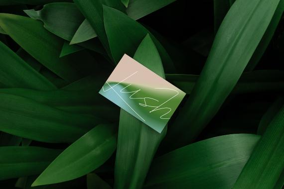 Lush Branding Mockups Kit