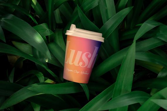 Lush Branding Mockups Kit