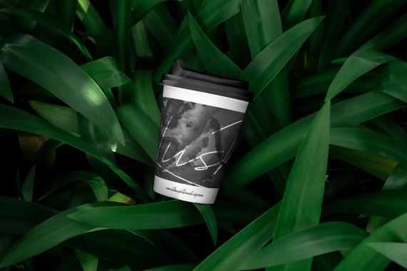 Lush Branding Mockups Kit