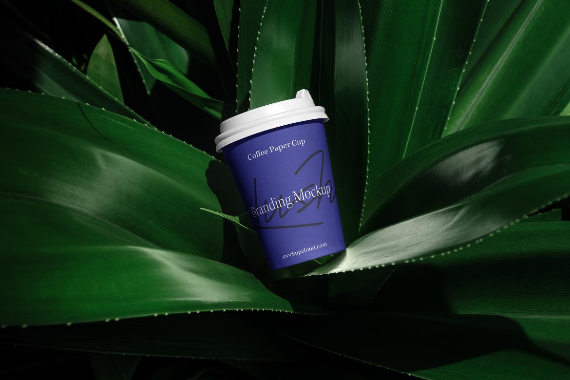Lush Branding Mockups Kit