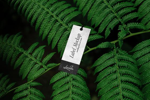 Lush Branding Mockups Kit
