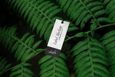 Tag Card Mockup Scene / Lush Series 01