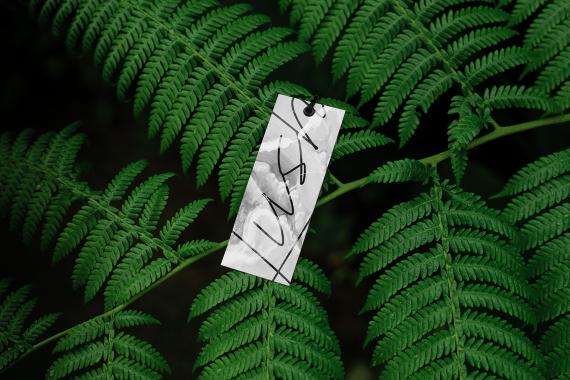 Lush Branding Mockups Kit