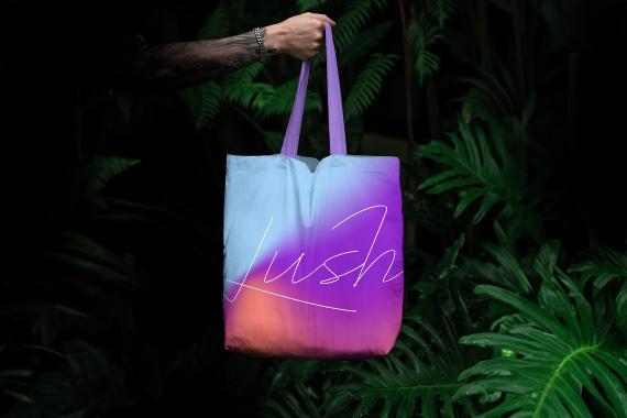 Lush Branding Mockups Kit