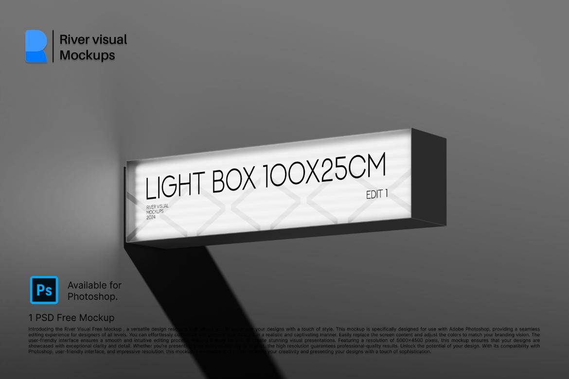 Light Box 100x25