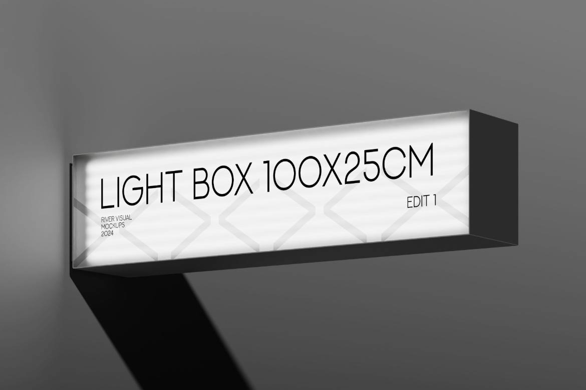 Light Box 100x25