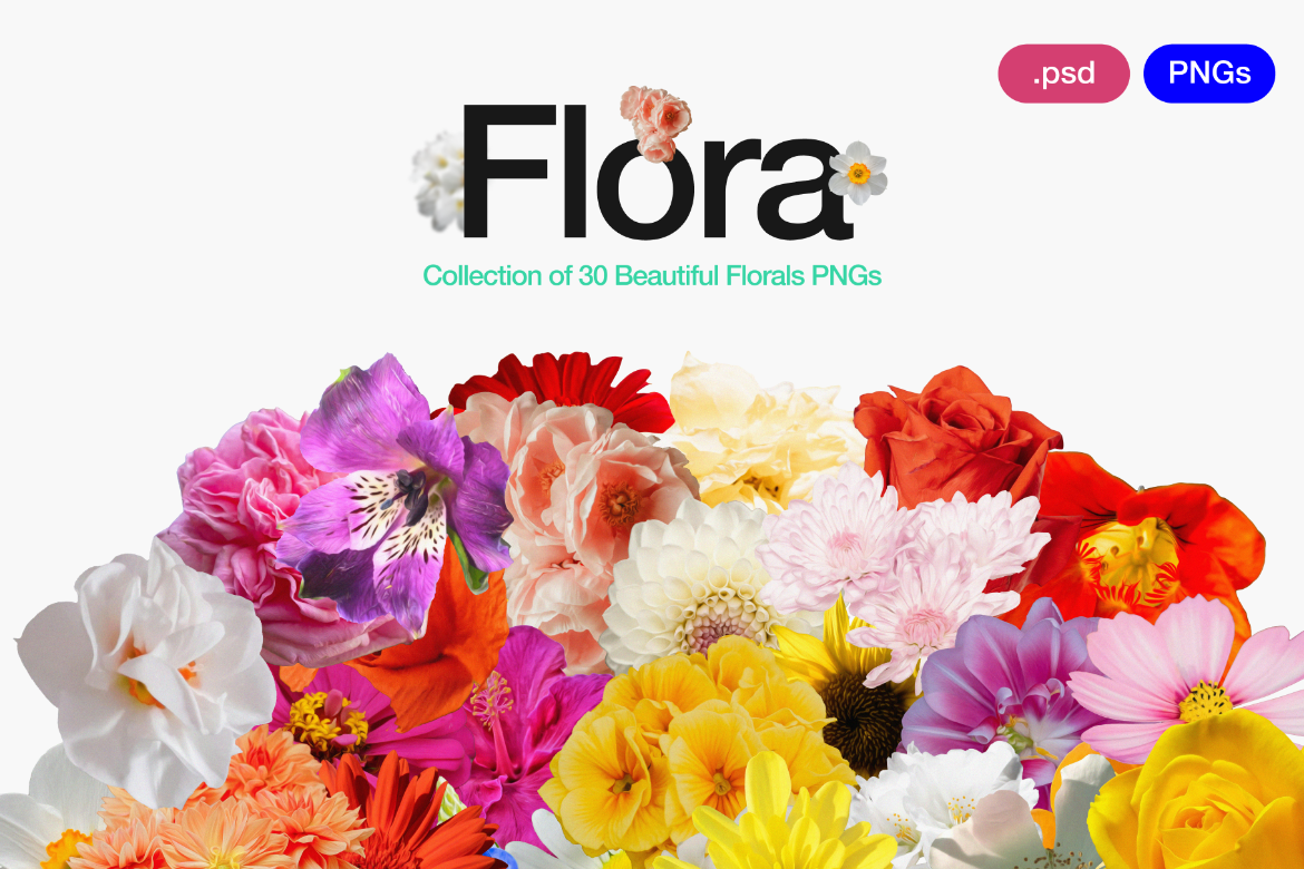 Flora 0.1