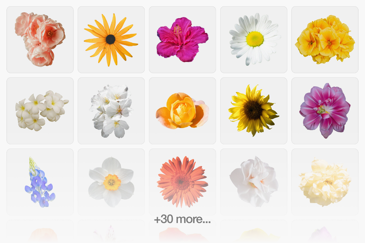 Flora 0.1