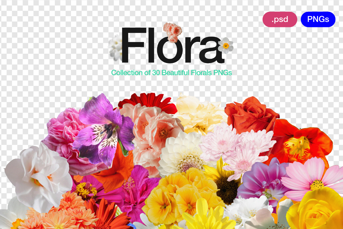 Flora 0.1