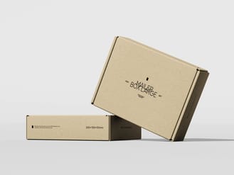 Mailer Box Large Size - Free Mockup