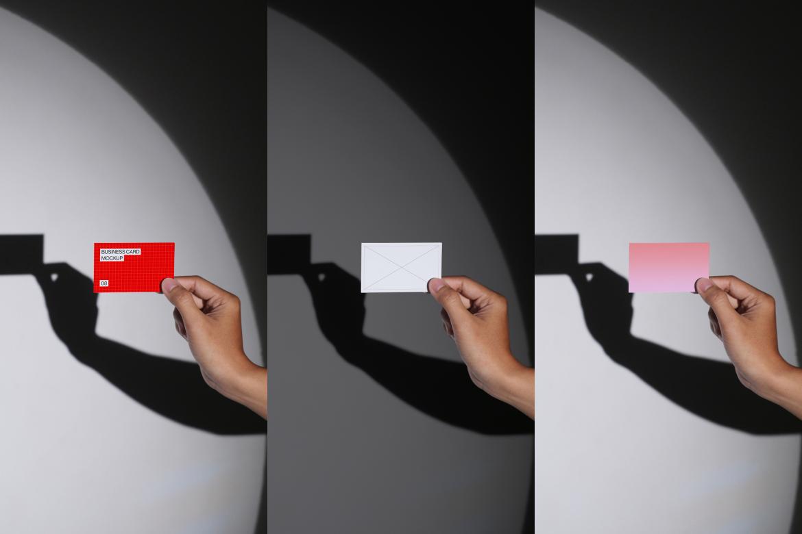10 Business Card Mockups Bundle
