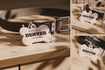 Pet ID Tag Mockup