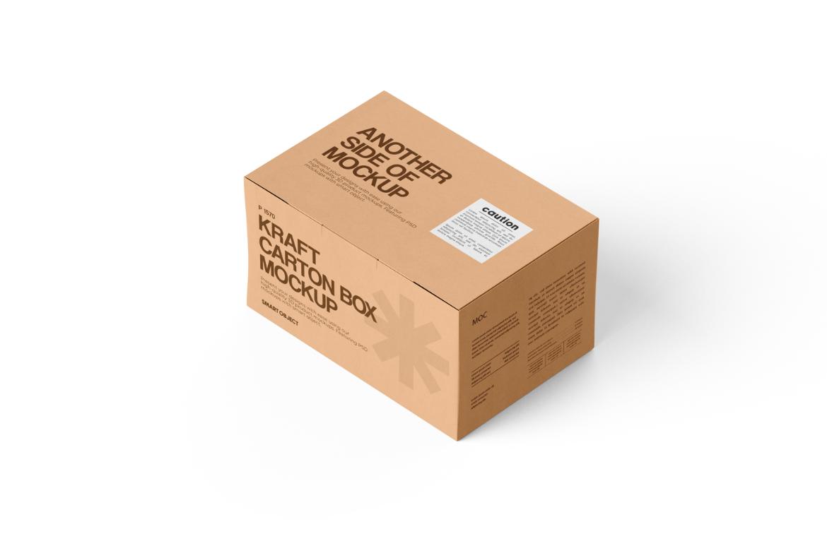 Carton Box Mockup