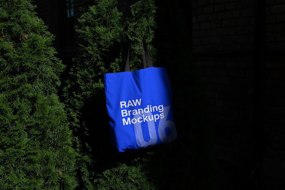 Tote Bag Mockup Scene Raw-06